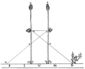 figura 5