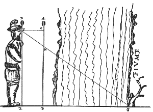 figura 4